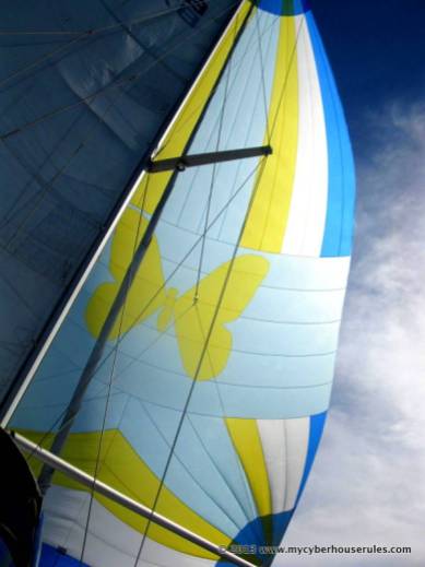 Our beautiful spinnaker in all its majesty